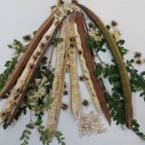 Planta minune din Brazilia curăță apa de microplastice