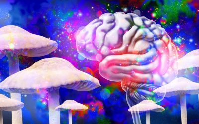 O echipă de cercetători din cadrul Institutului de Știință Weizmann a creat o plantă modificată genetic, capabilă să producă simultan cinci compuși psihedelici diferiți