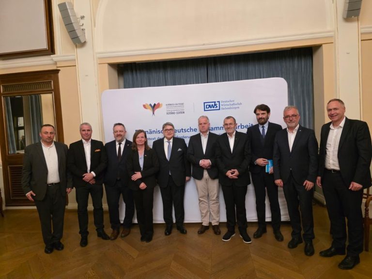 Germanii avertizează: Investițiile în România, blocate de taxe și instabilitate