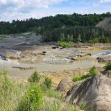 Angajații SALROM, audiați la Comisia de Mediu: Dau vina pe castori pentru Praid