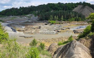 Angajații SALROM, audiați la Comisia de Mediu: Dau vina pe castori pentru Praid