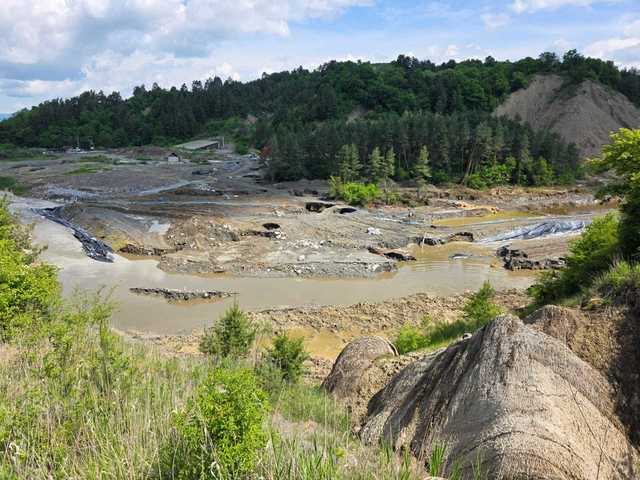 Angajații SALROM, audiați la Comisia de Mediu: Dau vina pe castori pentru Praid