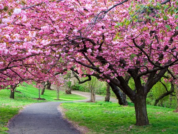 Vreme blândă în următoarele patru săptămâni: ANM anunță un început de primăvară