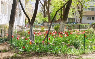 Plantarea de copaci în fața blocului: un gest cu potențiale consecințe legale Mulți locatari sunt tentați să înfrumusețeze spațiile verzi din jurul blocurilor în care locuiesc, însă este crucial să se respecte cadrul legal