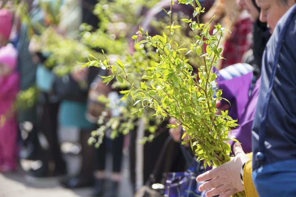 Înainte de Florii, tradițiile străvechi prind viață: pregătiri pentru sufletele adormite, cântece de primăvară și salcie sfințită Cu o săptămână înainte de Duminica FLORII, tradițiile specifice sărbătorii încep să prindă contur în casele românilor