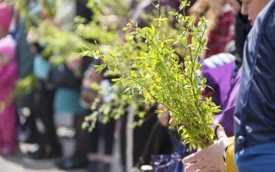 Înainte de Florii, tradițiile străvechi prind viață: pregătiri pentru sufletele adormite, cântece de primăvară și salcie sfințită Cu o săptămână înainte de Duminica FLORII, tradițiile specifice sărbătorii încep să prindă contur în casele românilor