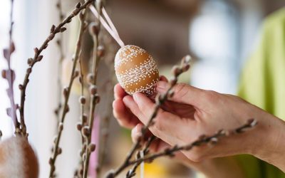 Floriile aduc bucurie numelor de flori: Milioane de români își sărbătoresc onomastica Sărbătoarea Floriilor, una dintre cele mai importante din calendarul creștin, a adus bucurie și emoție în casele românilor