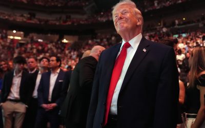 Cum au făcut milioane pariind pe Donald Trump: S-a aflat secretul