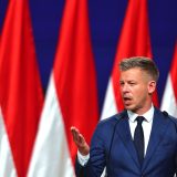 Peter Magyar vânează averea lui Orban: Zebre pe domeniul premierului maghiar