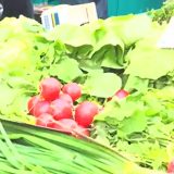 Observator cere lege anti-toxice în piețe: Exemplul Danemarca pentru România