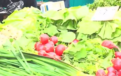 Observator cere lege anti-toxice în piețe: Exemplul Danemarca pentru România