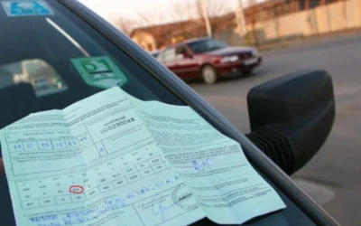 Probleme uriașe pentru bulgarii RCA. Păgubiții români, în pragul disperării