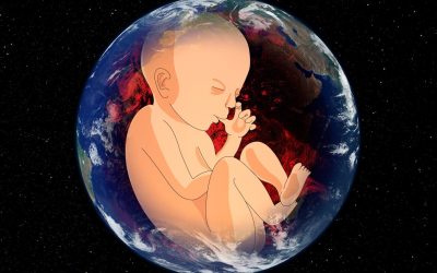 Microgravitația pune în pericol reproducerea umană, arată un nou studiu Un studiu recent, realizat de cercetători australieni, demonstrează că microgravitația afectează negativ reproducerea umană și pe cea a mamiferelor