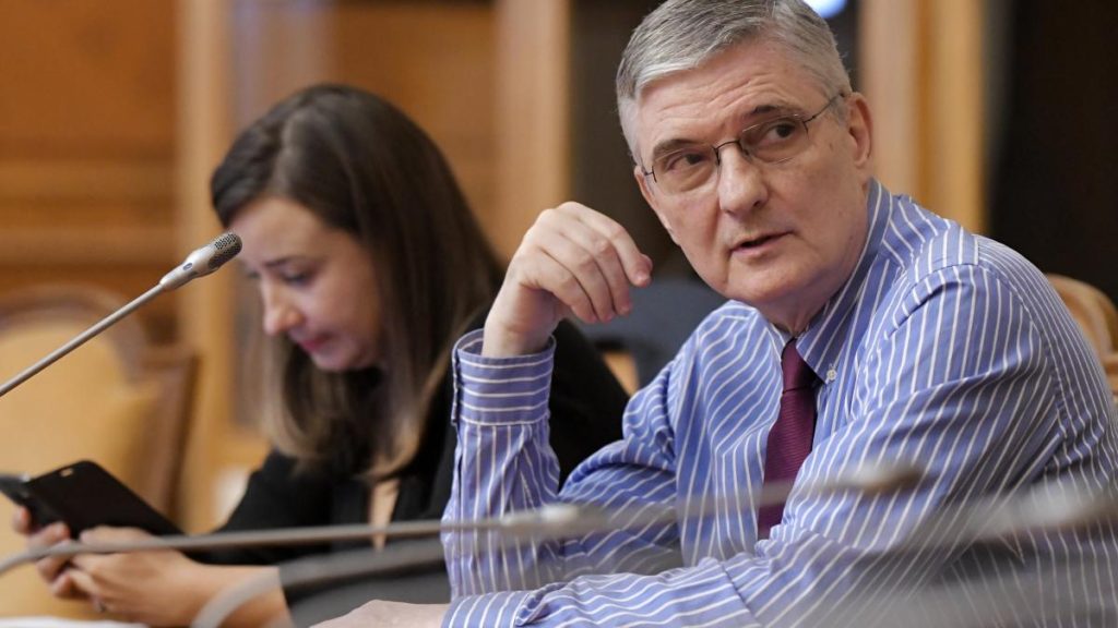 Dăianu: Românii, la cumpătare! Evităm recesiunea, dar „cu noroc”