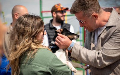 S-a deschis primul centru județean de adopții canine din Ilfov