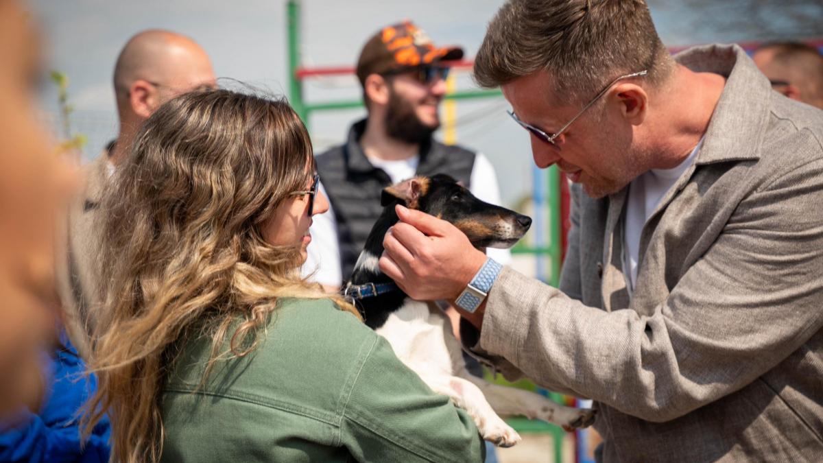 S-a deschis primul centru județean de adopții canine din Ilfov