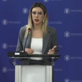 Băneasa: Diana Buzoianu, înfrântă de Ministerul Mediului în procesul cu Romsilva Ilfov