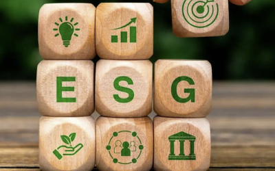 Stratos Management lansează platformă de raportare a sustenabilității