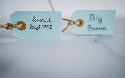 Micii „Davizi” români sfidează „Goliatii” globali: Cum fură cotă de piață