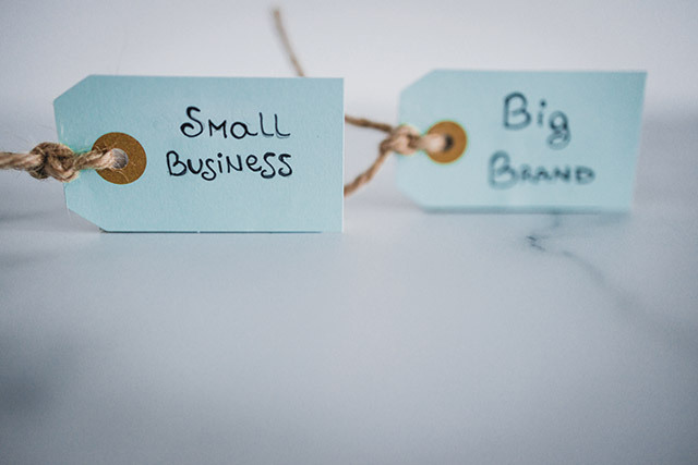 Micii „Davizi” români sfidează „Goliatii” globali: Cum fură cotă de piață