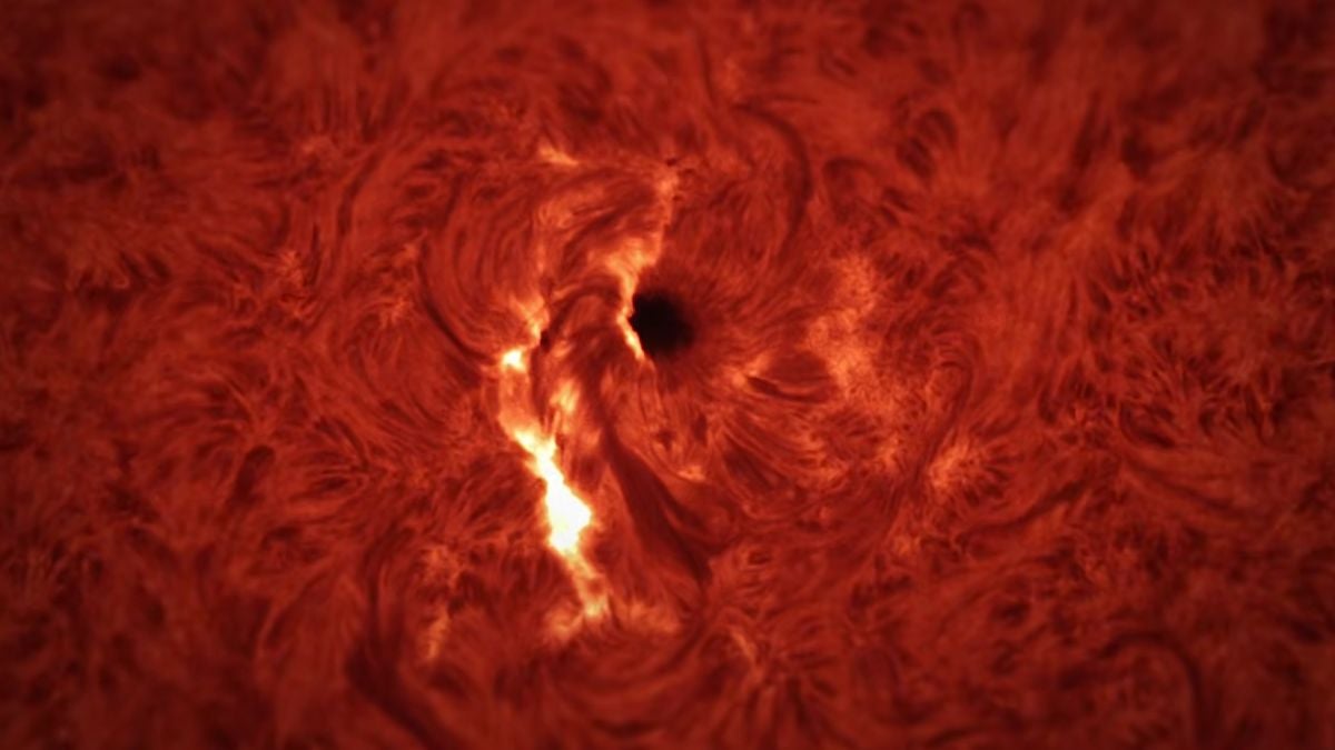 Sunetul SOARELUI care „țipă”: O senzație SF, cutremurătoare