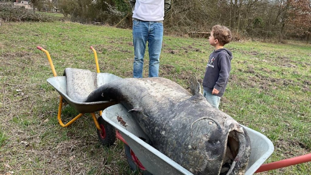 Somnul uriaș a confirmat o legendă germană veche