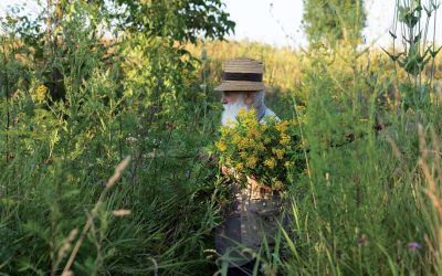 Călția revine la Sibiu: Expoziția explorează teme recurente