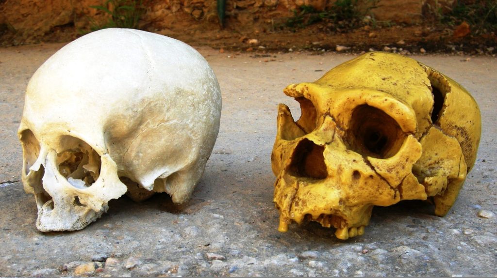 Neanderthalienii: GENA lor încă ne influențează viața de zi cu zi?