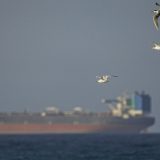 Iranul vrea coridor sigur prin Ormuz: Cum relaxează tensiunile