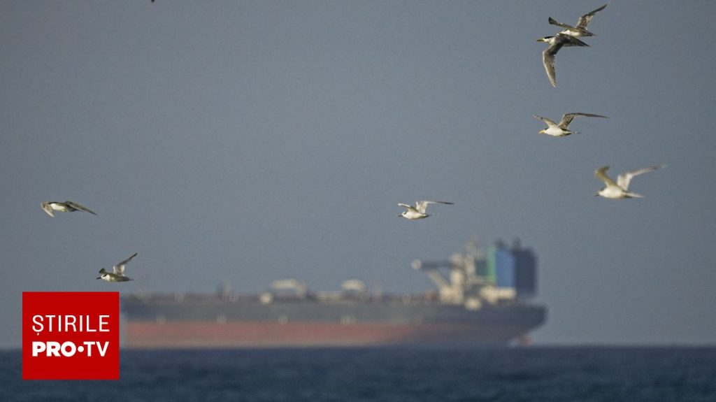 Ce se întâmplă în Europa dacă strâmtoarea Ormuz e blocată