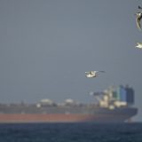 Ce se întâmplă în Europa dacă strâmtoarea Ormuz e blocată