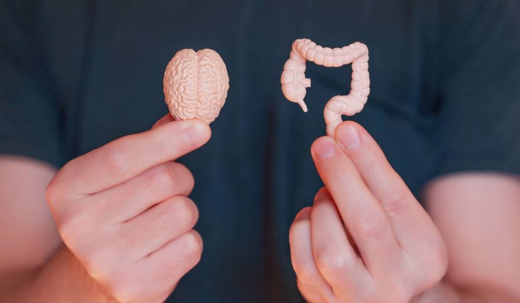 Stresul Sărbătorilor: Cum ne dă peste cap digestia și apetitul