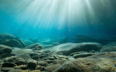 Oceanele, fierbinți ca-n iulie: Recorduri de temperatură în martie 2026