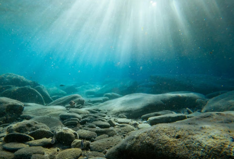 Oceanele, fierbinți ca-n iulie: Recorduri de temperatură în martie 2026