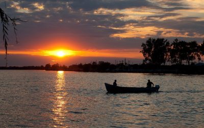 Studio plutitor atrage tinerii britanici: Arta salvează Marea Britanie