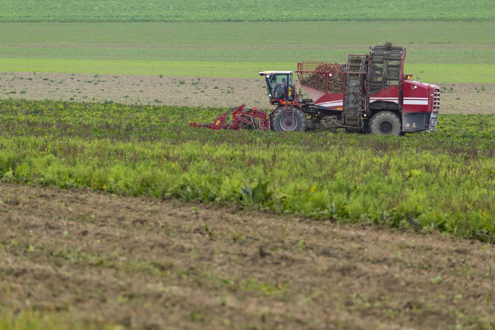 Prognoza meteo anunță vreme favorabilă pentru agricultură în majoritatea regiunilor București – Agricultorii pot răsufla ușurați