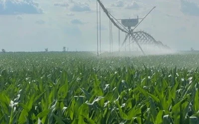 JD Agro Cocora, ferma daneză uriașă, revine pe profit în România