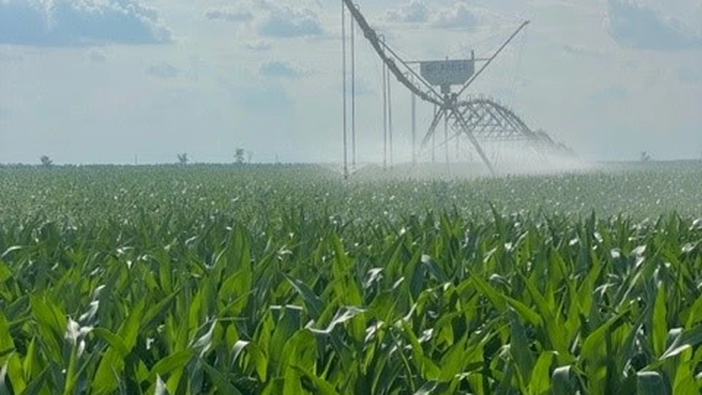 JD Agro Cocora, ferma daneză uriașă, revine pe profit în România