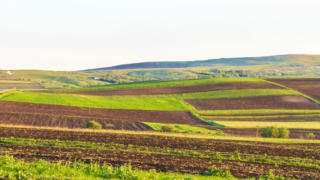 Arendă 2026: Ce drepturi și obligații au fermierii în România?