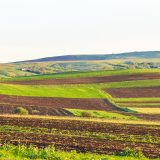 Arendă 2026: Ce drepturi și obligații au fermierii în România?