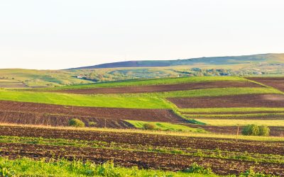 Arendă 2026: Ce drepturi și obligații au fermierii în România?
