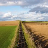 Abuzuri pe terenuri: Legea și pașii să-ți recuperezi proprietatea