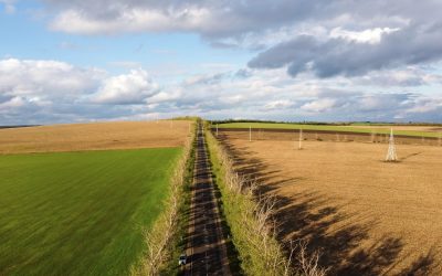 Abuzuri pe terenuri: Legea și pașii să-ți recuperezi proprietatea