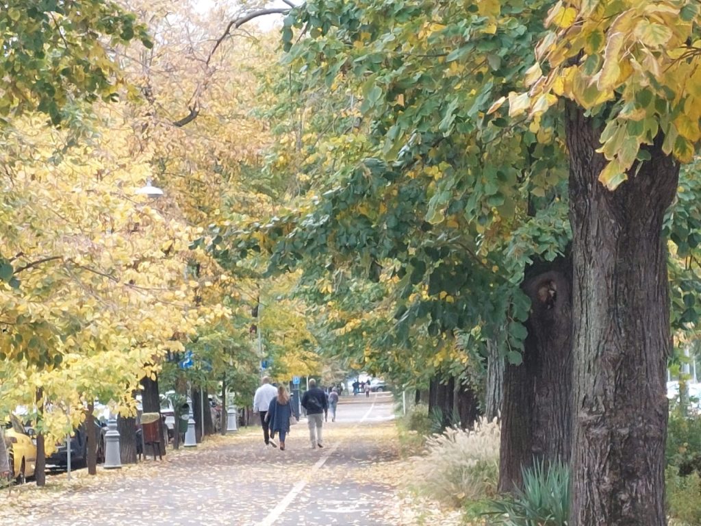 Declic cere schimbarea numelui parcului Donald Trump: Maria Cuțarida-Crătunescu