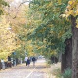 Declic cere schimbarea numelui parcului Donald Trump: Maria Cuțarida-Crătunescu