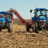 Insolvențele în agricultură, explozie în România: Creștere de 200%