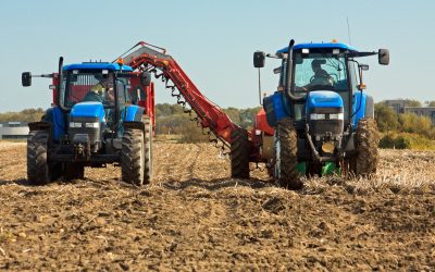 Insolvențele în agricultură, explozie în România: Creștere de 200%