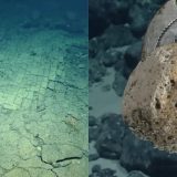 Misterul adâncurilor: O „cale” secretă pe fundul Oceanului Pacific