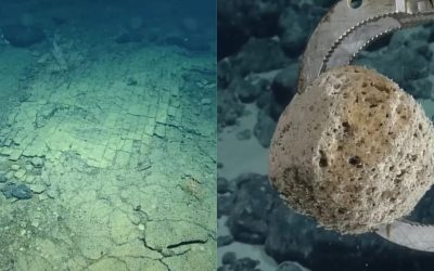 Misterul adâncurilor: O „cale” secretă pe fundul Oceanului Pacific