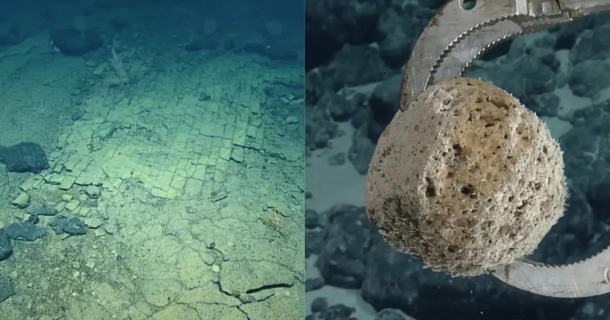 Misterul adâncurilor: O „cale” secretă pe fundul Oceanului Pacific